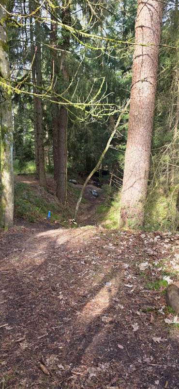 3D Bogenparcours Abenberger Bogenschützen e. V. 10-bogenschiessen Abenberg 800er 010-bogenschiessen