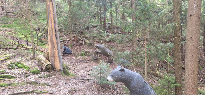 3D Bogenparcours Abenberger Bogenschützen e. V. 39-bogenschiessen Abenberg 800er 039-bogenschiessen
