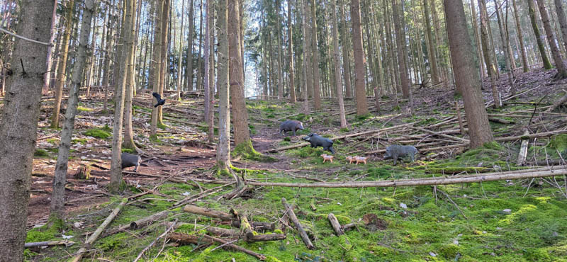 3D Bogenparcours Abenberger Bogenschützen e. V. 48-bogenschiessen Abenberg 800er 048-bogenschiessen