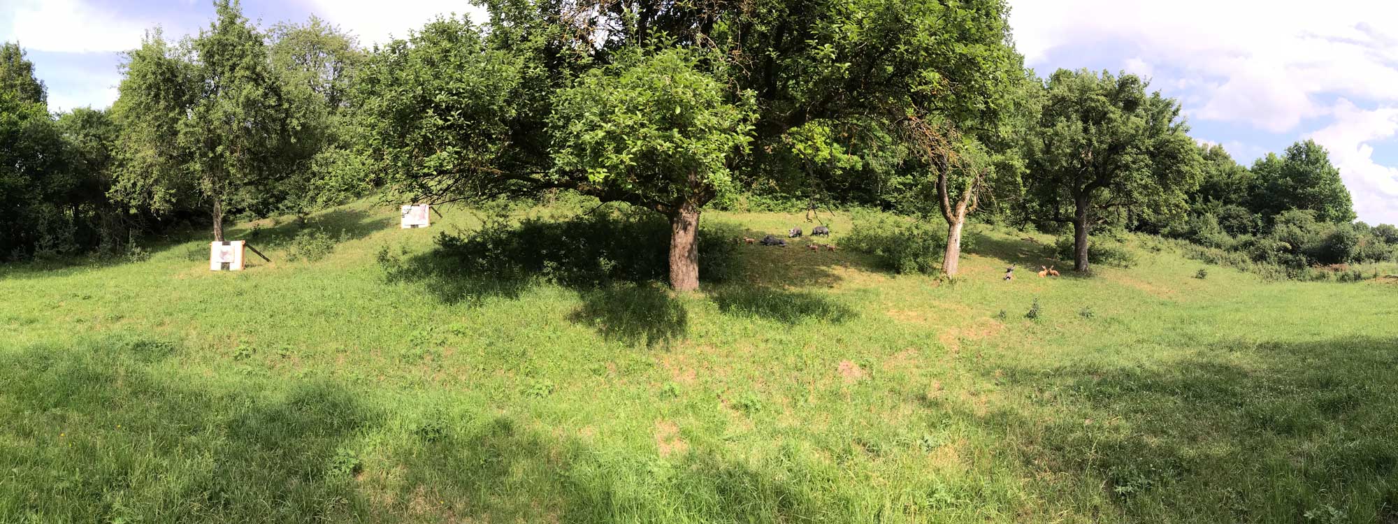 Bogenschießen lernen im Raum Coburg 2024 1-bogenschiessen Seminarort Ummerstadt