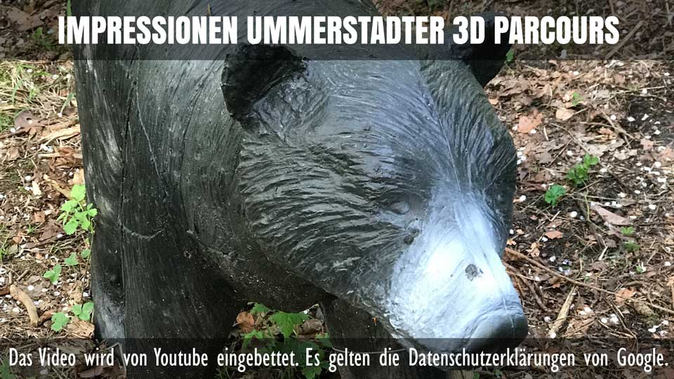 Bogenschießen lernen im Raum Coburg 2024 3-bogenschiessen ummerstadtvideo-bogenschiessen