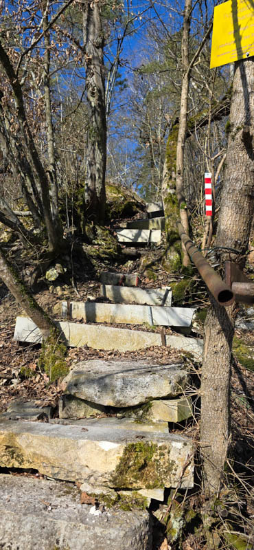 TomBows 3D-Parcours in Treuchtlingen 14-bogenschiessen Treuchtlingen 800er 015-bogenschiessen