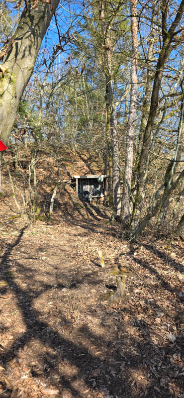 TomBows 3D-Parcours in Treuchtlingen 15-bogenschiessen Treuchtlingen 800er 016-bogenschiessen
