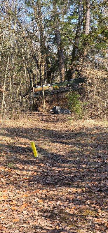 TomBows 3D-Parcours in Treuchtlingen 16-bogenschiessen Treuchtlingen 800er 017-bogenschiessen