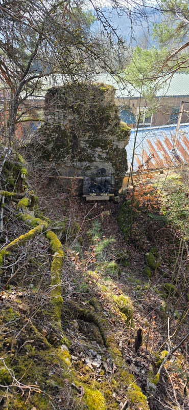TomBows 3D-Parcours in Treuchtlingen 18-bogenschiessen Treuchtlingen 800er 019-bogenschiessen