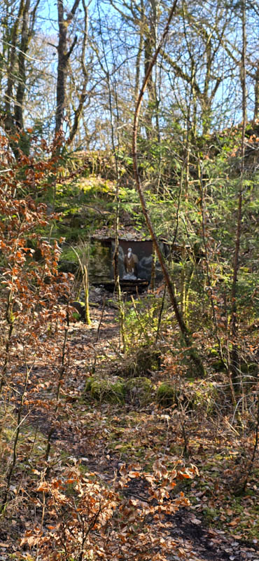 TomBows 3D-Parcours in Treuchtlingen 29-bogenschiessen Treuchtlingen 800er 030-bogenschiessen