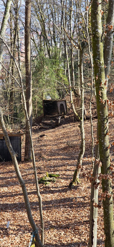 TomBows 3D-Parcours in Treuchtlingen 31-bogenschiessen Treuchtlingen 800er 032-bogenschiessen