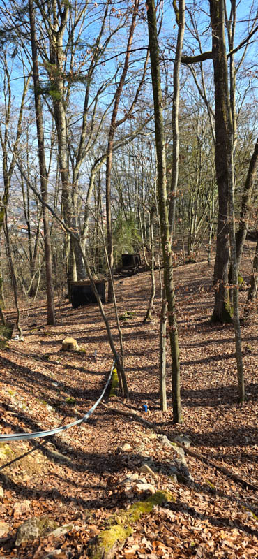 TomBows 3D-Parcours in Treuchtlingen 32-bogenschiessen Treuchtlingen 800er 033-bogenschiessen