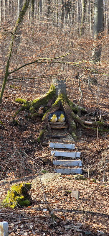 TomBows 3D-Parcours in Treuchtlingen 34-bogenschiessen Treuchtlingen 800er 035-bogenschiessen