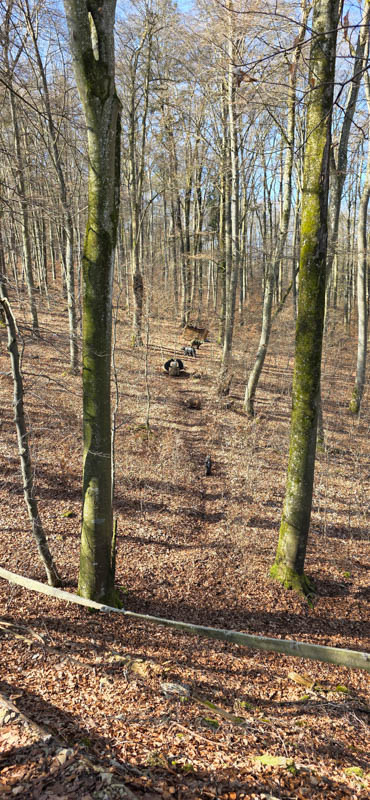 TomBows 3D-Parcours in Treuchtlingen 37-bogenschiessen Treuchtlingen 800er 038-bogenschiessen