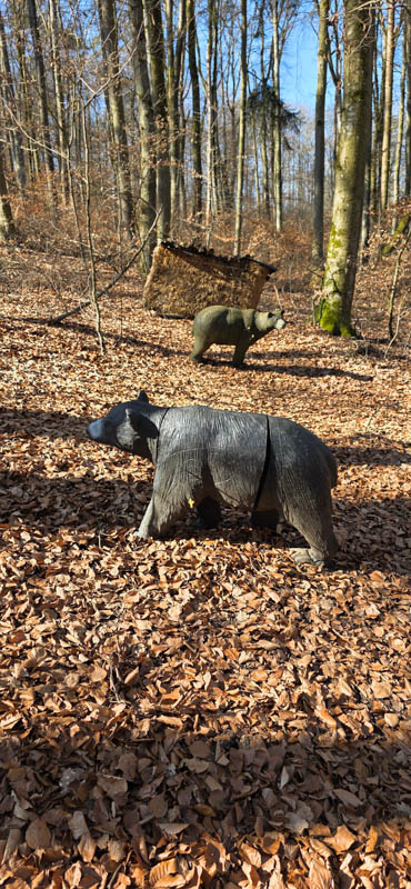 TomBows 3D-Parcours in Treuchtlingen 39-bogenschiessen Treuchtlingen 800er 040-bogenschiessen