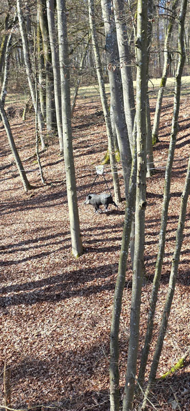 TomBows 3D-Parcours in Treuchtlingen 55-bogenschiessen Treuchtlingen 800er 056-bogenschiessen