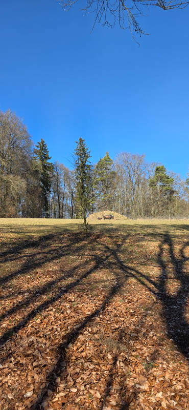 TomBows 3D-Parcours in Treuchtlingen 56-bogenschiessen Treuchtlingen 800er 057-bogenschiessen