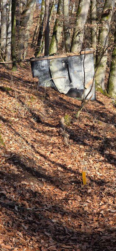 TomBows 3D-Parcours in Treuchtlingen 63-bogenschiessen Treuchtlingen 800er 064-bogenschiessen