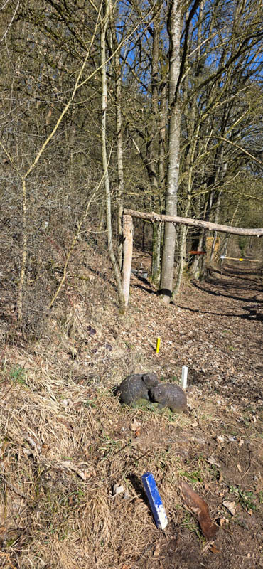 TomBows 3D-Parcours in Treuchtlingen 67-bogenschiessen Treuchtlingen 800er 068-bogenschiessen