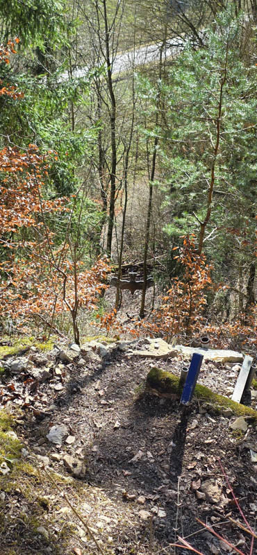 TomBows 3D-Parcours in Treuchtlingen 70-bogenschiessen Treuchtlingen 800er 071-bogenschiessen