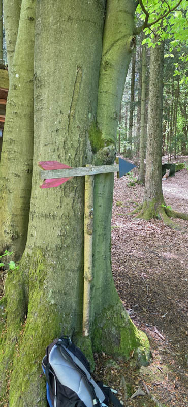 Wolfersfeld 800er 010-bogenschiessen