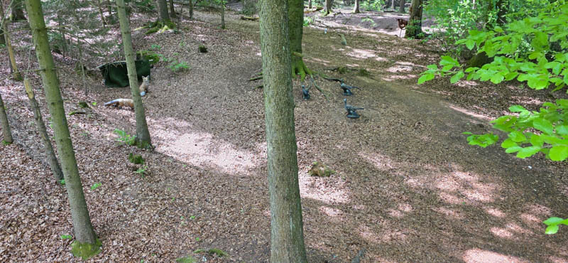 Wolfersfeld 800er 011-bogenschiessen