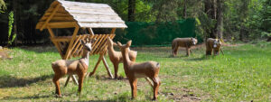 3D-Parcours Wolfertsfeld
